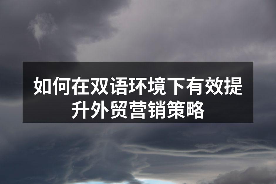 如何在双语环境下有效提升外贸营销策略
